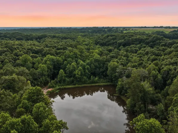 0 County Road 438, Elba, AL 36323