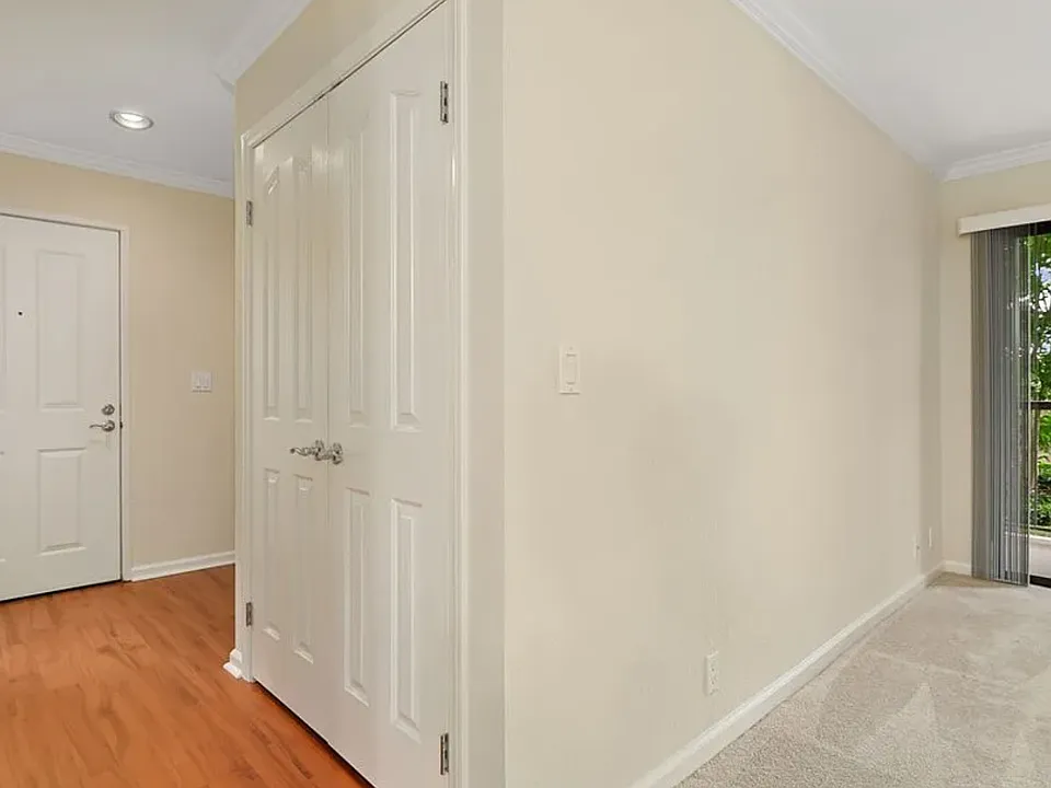 Entrance foyer and large guest/utility closet.