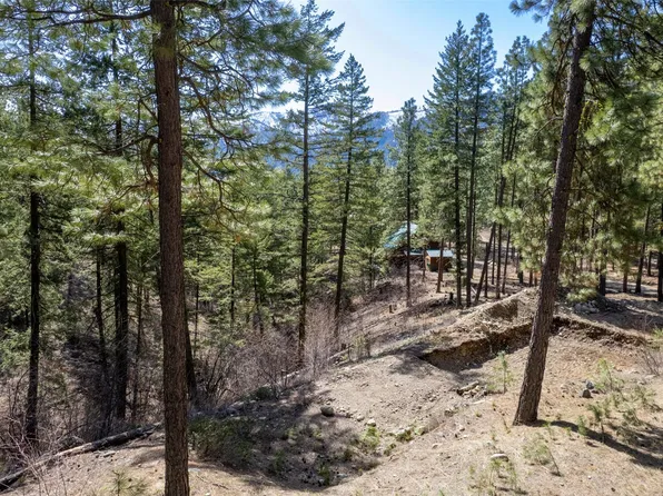 94 Homestead Road, Winthrop, WA 98862