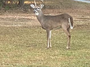 265 Evans Dr, Buchanan, GA 30113