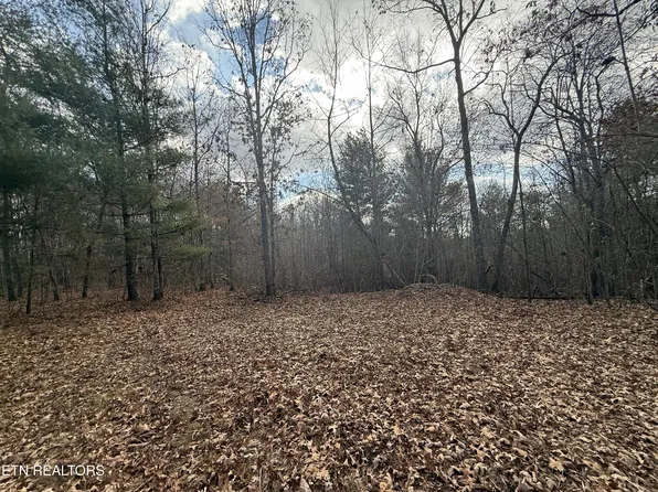 Valerie Dr, Deer Lodge, TN 37726