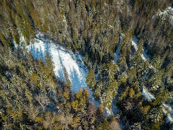 3rd image of 1356 Hidden Valley Rd