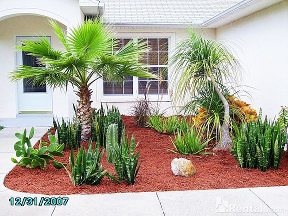 3rd image of 3420 India Palm Dr