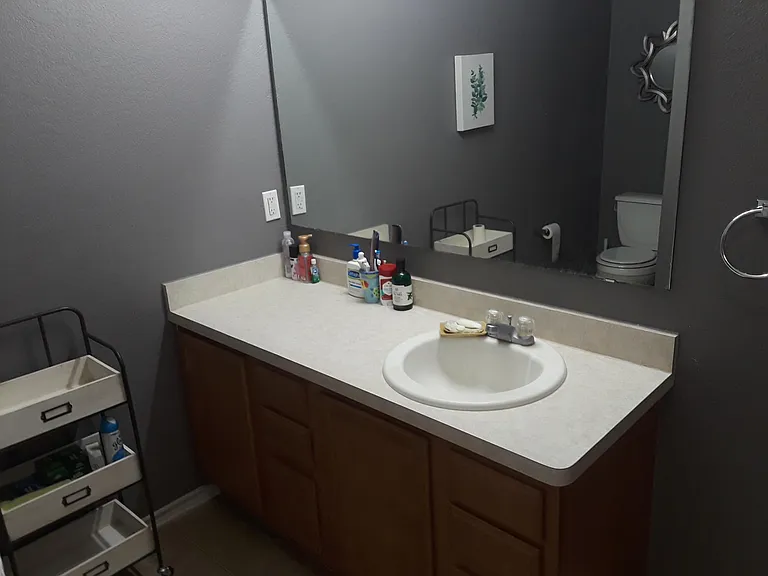 3007 Quiet Plain Dr — Photo 45