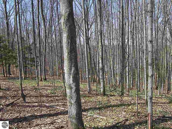 2nd image of W Armstrong Lake Trail B 4