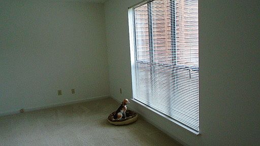 2nd image of 1100 Ladys Slipper Ct APT B