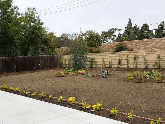 Huge back Yard