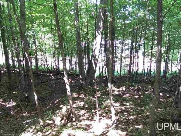 1521 Brookside Dr, Houghton, MI 49931