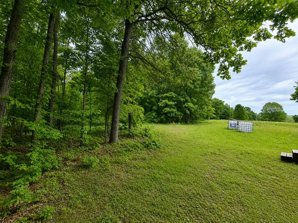 113 Wanda Drive, Squires, MO 65755