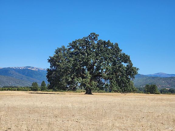 2nd image of 74200 Covelo Road