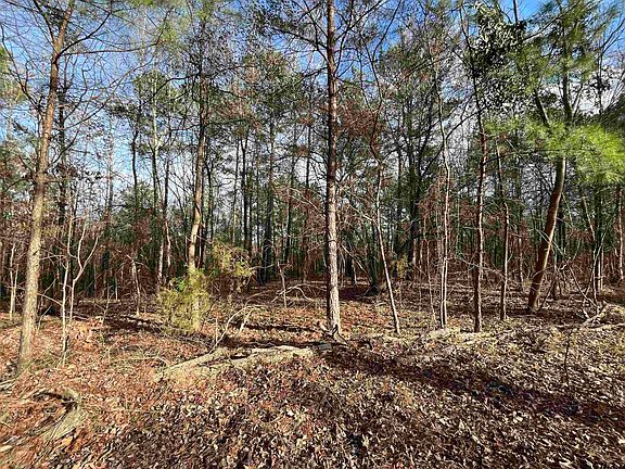 3rd image of TRACT Seven Venus Rd