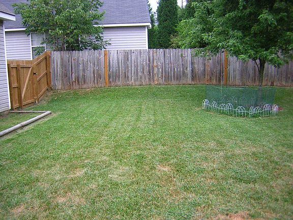 Back Yard with Gate 