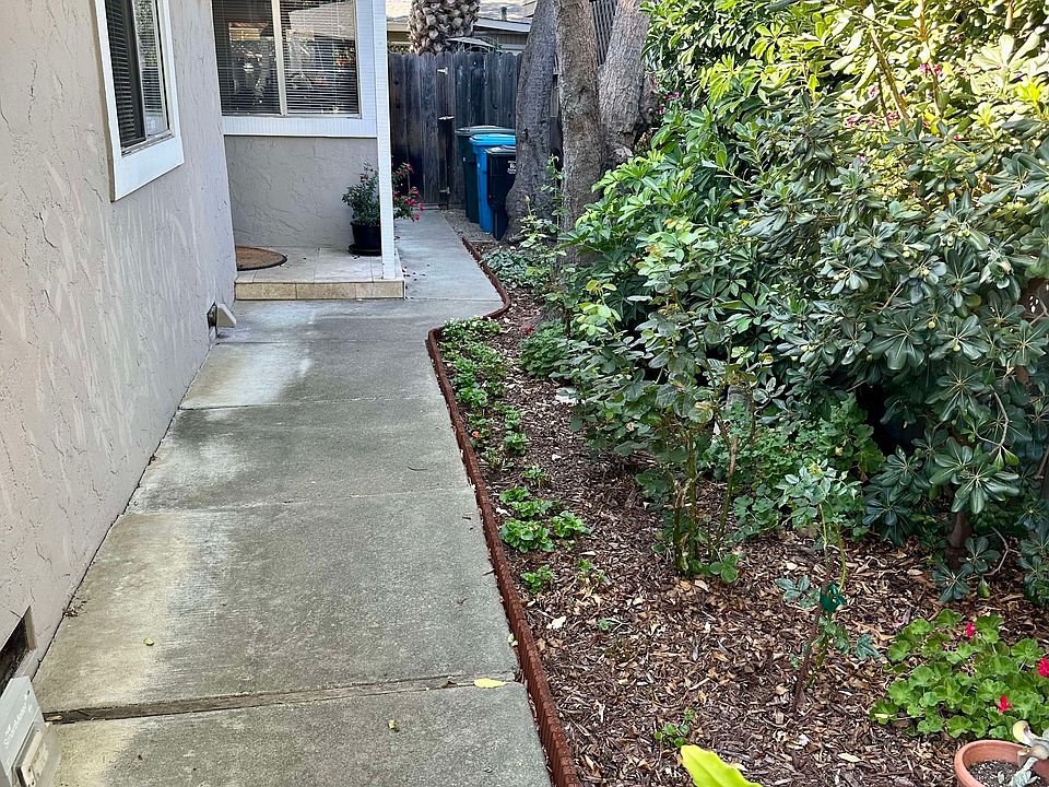 walkway/side yard to house door