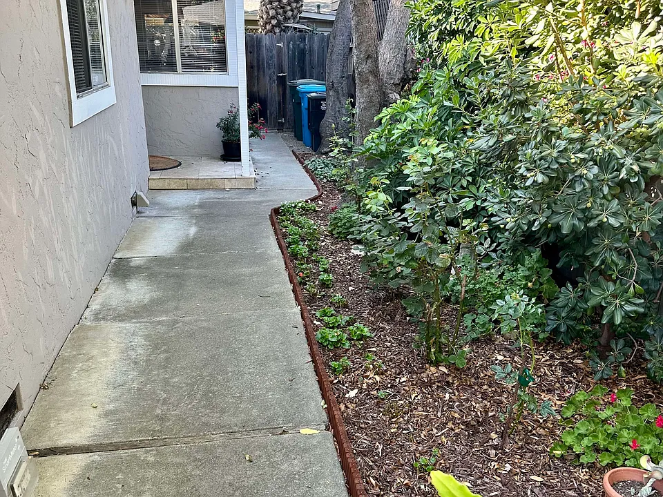 walkway/side yard to house door
