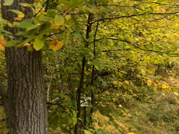 LOT 5 Castlewood Ct, Pequot Lakes, MN 56472