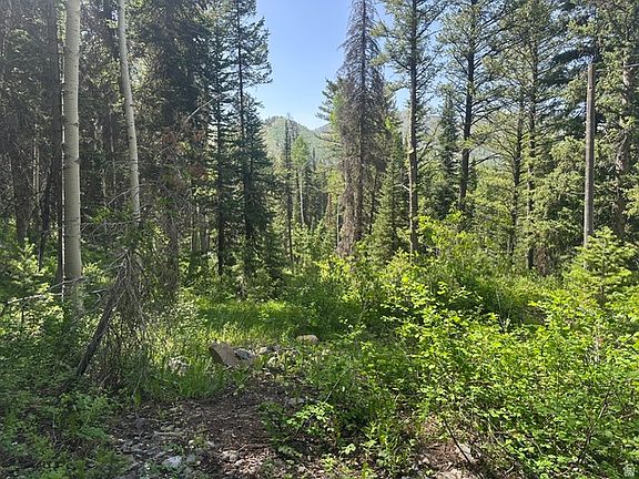 2nd image of 9328 E Wild Clematis Ln