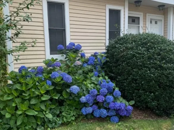 54 Rope Ferry Road #C52, Waterford, CT 06385