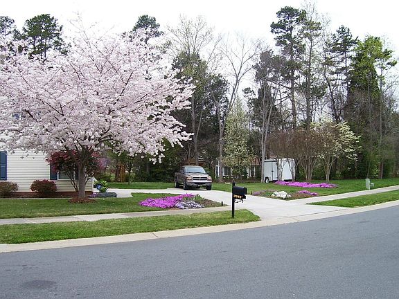 Large side yard