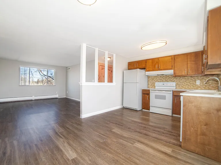 Bright open-concept living area with hardwood floors, modern kitchen, and ample natural light.