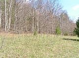 2nd image of Palmer Rd
