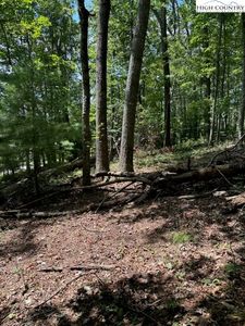 Lot 26 Riverside Drive, Sparta, NC, 28675