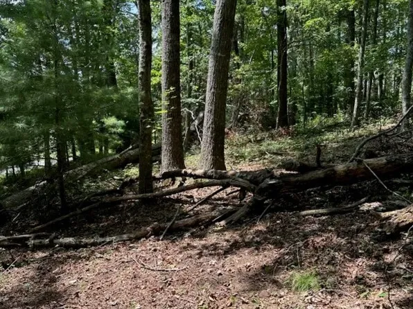 Lot 26 Riverside Drive, Sparta, NC 28675