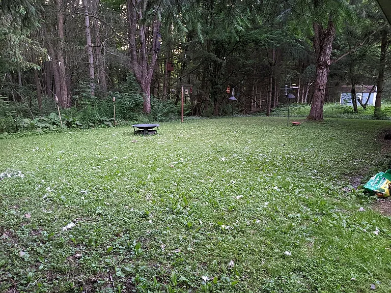 120 Sapsucker Woods Rd #1A — Photo 8