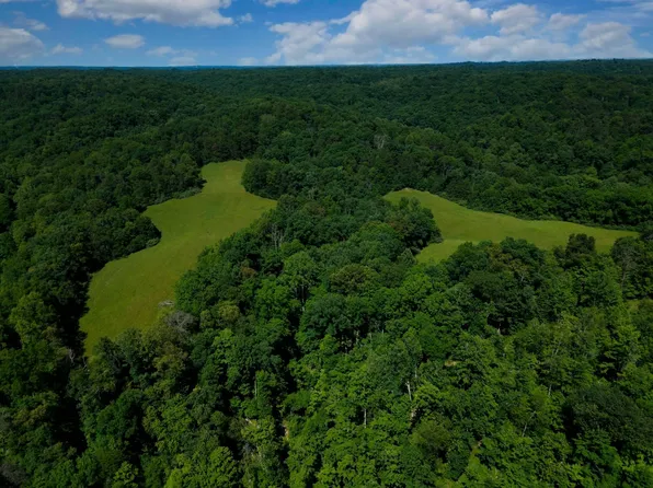 0 Crab Creek Rd, Southside, WV 25187