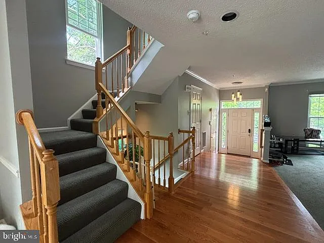 10148 Vanderbilt Cir — Photo 16