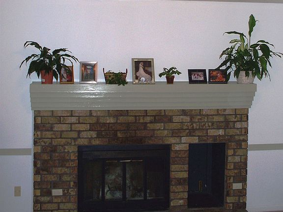Wood Burning Fireplace