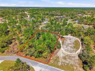 11155 Marsh Wren Ave Lot 12, Brooksville, FL 34614