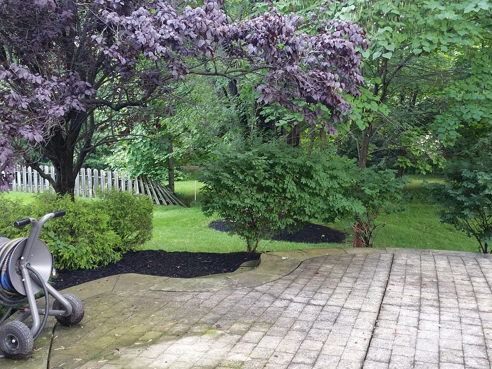 2nd image of 437 Butterfield Cir