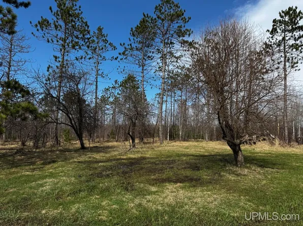 36431 Daniels Rd, Ontonagon Township, MI 49953