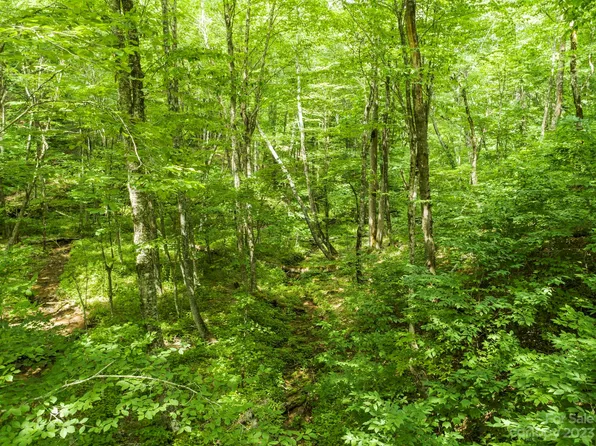 Brothers Ln, Mars Hill, NC 28754