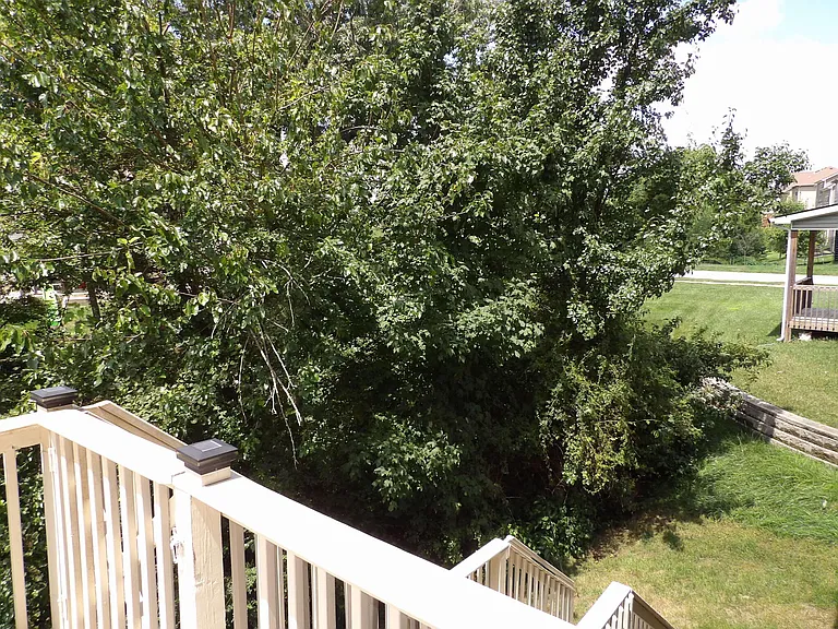 14341 Halden Ridge Way — Photo 94