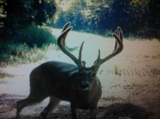 3210 Squires Groves Rd, Elkton, KY 42220