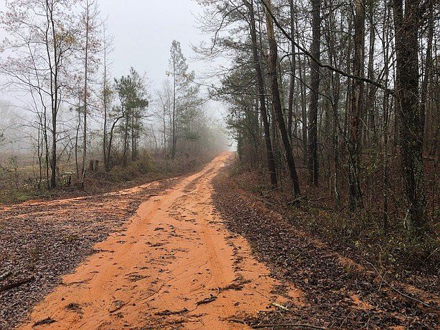2nd image of Bobby Jones Ln