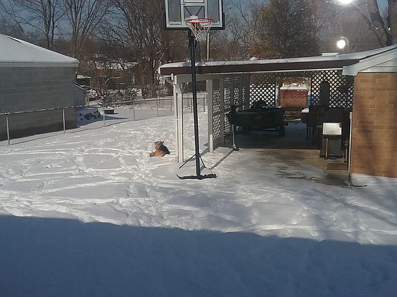 Winter (backyard)