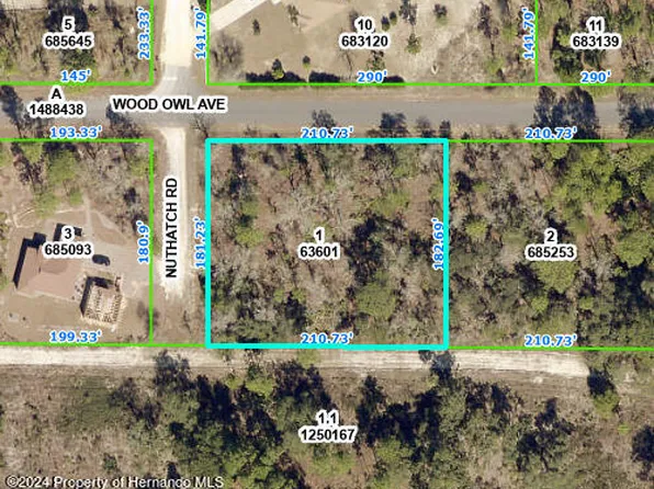 17398 Nuthatch Rd, Brooksville, FL 34614