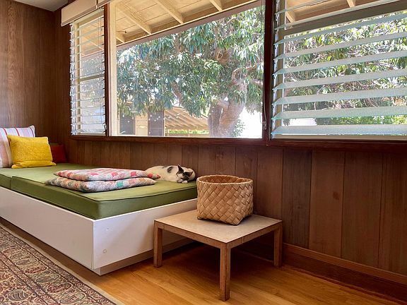 Large picture window in living room with view of lychee tree.