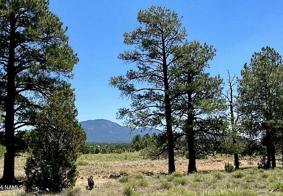 4th image of 5303 N Red Mountain Rd