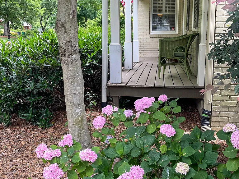 Front Deck