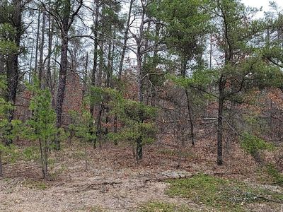 Sandy Trl, Grayling, MI, 49738