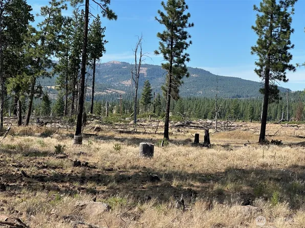 0 Lee Road, Goldendale, WA 98620