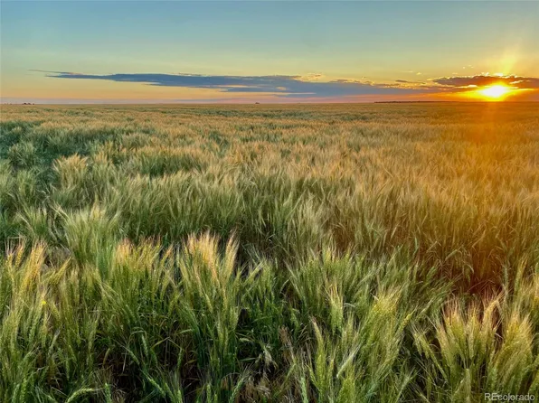 State Hwy 59, Haxtun, CO 80731