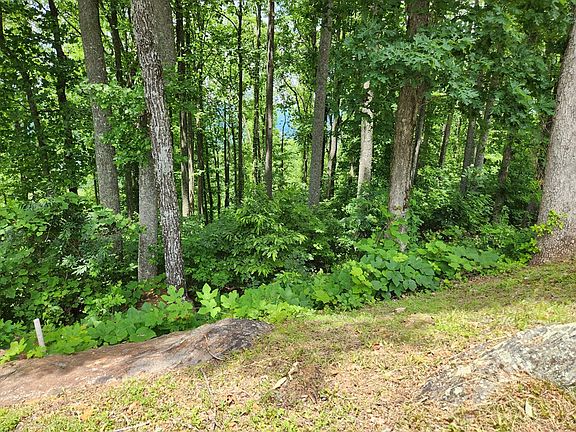 2nd image of 18 Rocky Knob