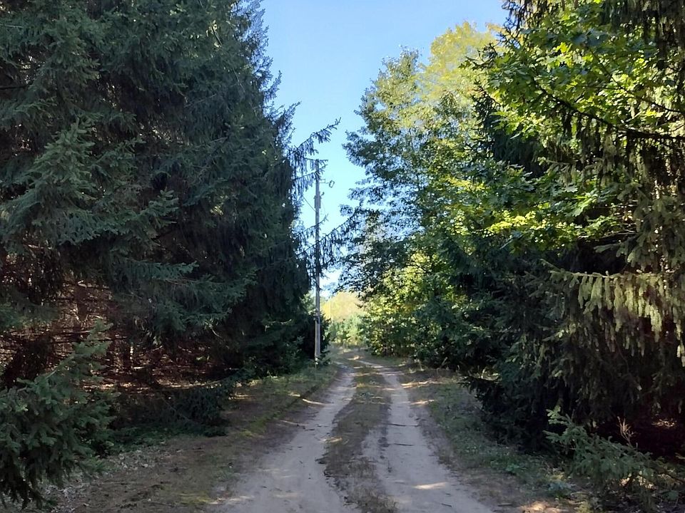 2nd image of 9762 N Bailey Rd