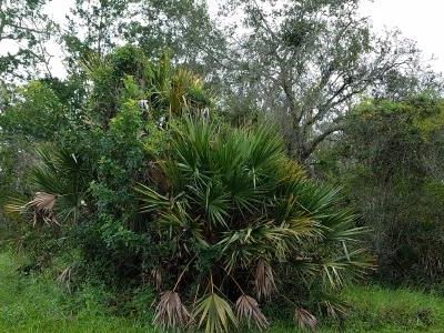 3500 Ike Ave, Sebring, FL, 33875
