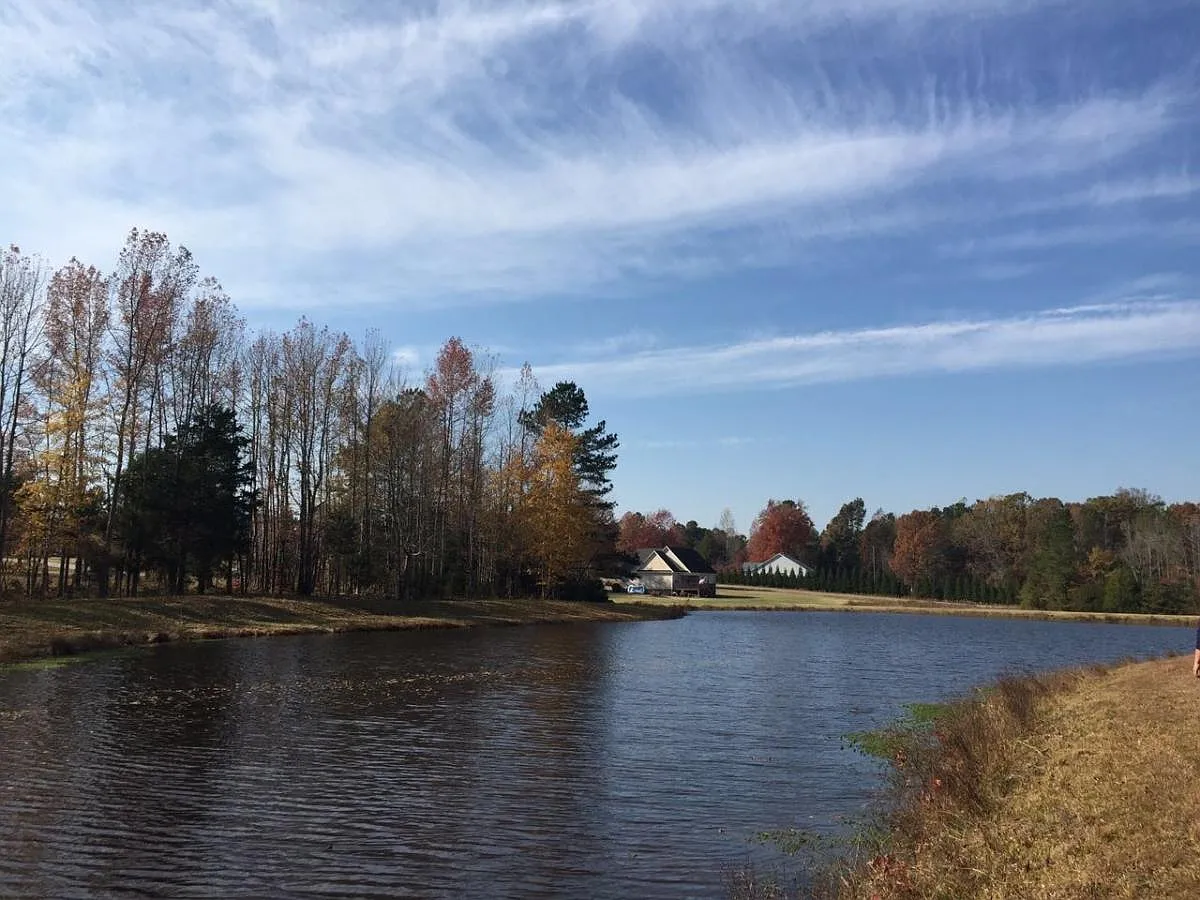 5 bed, 3760 sqft, $3,199 — Photo 3