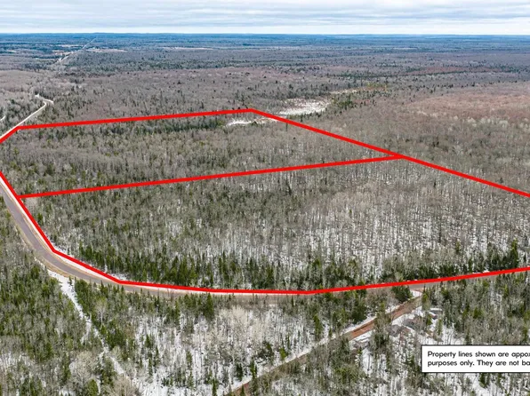 Tbd E Shore Rd, Bergland, MI 49910